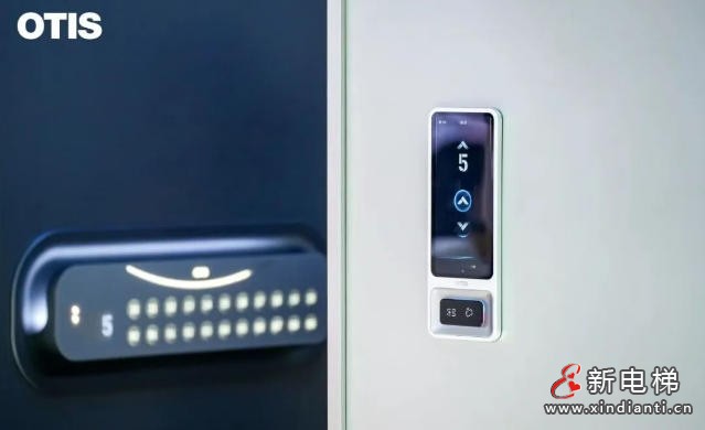 产业强健、赛事赋能、全民共享三位一体德州加速构建特色体育名城建设格局