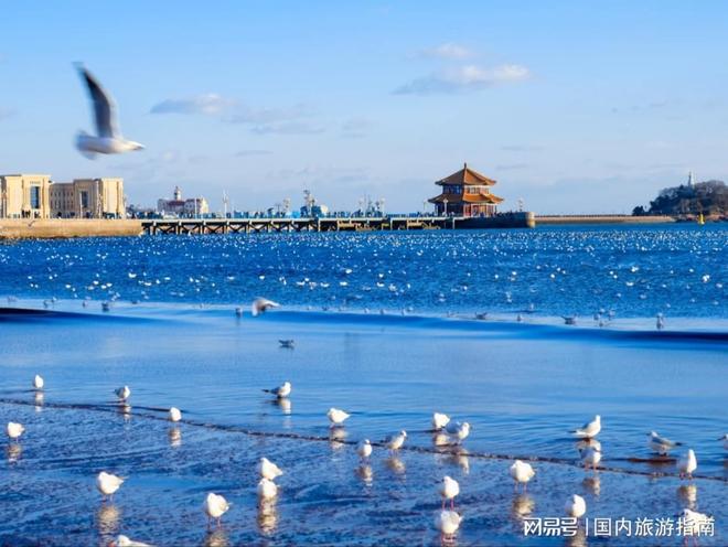 青岛当地正规旅行社权威推荐：口碑好的机构排名靠前十名推荐评测