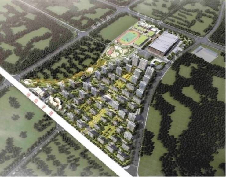 合肥新站区楼盘-项目价格解析：文化价值的市场体现